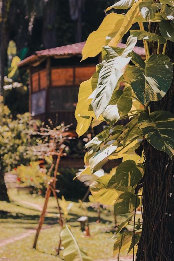 Casa Conduru Hostel Itacaré Εξωτερικό φωτογραφία